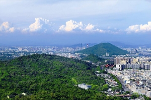 Vùng đất xanh được lưu giữ tại Thọ Sơn, Quy Sơn và Bán Bình Sơn có thể nói là lá phổi của Cao Hùng (hình: Kang, Cun-Cai) (Hình ảnh)