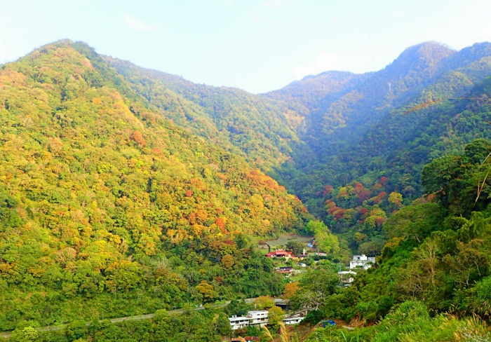 洛韶コミュニティの秋の風景