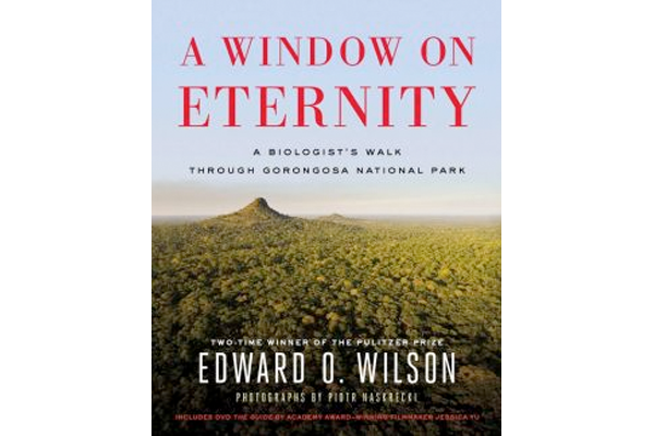 A window on eternity