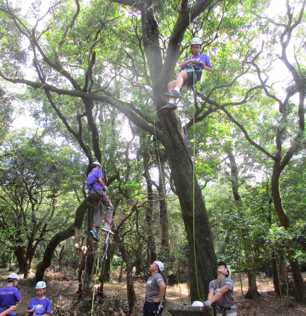 陽管處Youth Camp麝香貓組 將體驗攀樹教學課程 (陽明山國家公園管理處提供)