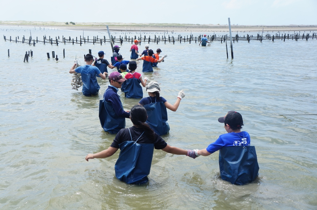 台管處Youth Camp讓學員化身 一日蚵農體驗在地產業 (台江國家公園管理處提供)