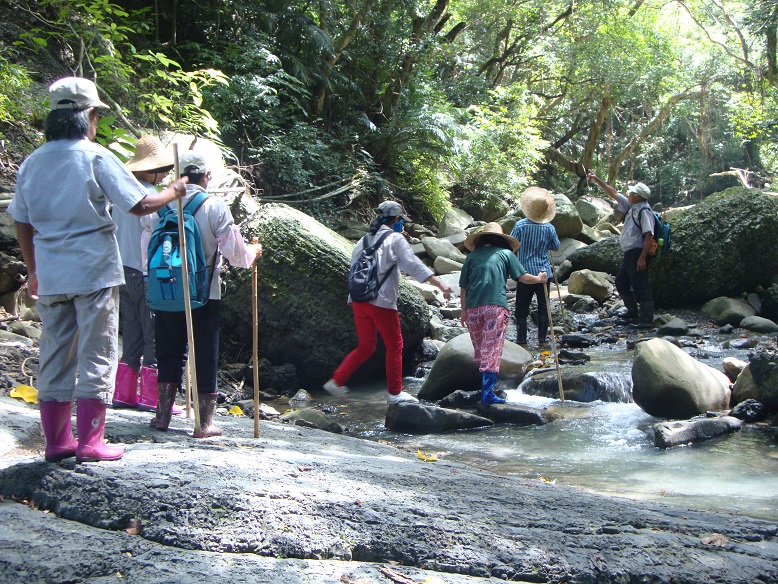里德社區提供欖仁溪生態旅程