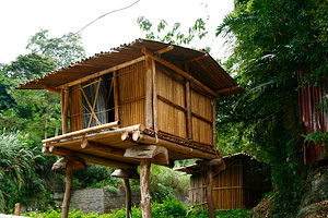 泰雅部落尚存許多早期是防禦建築的竹架高腳屋