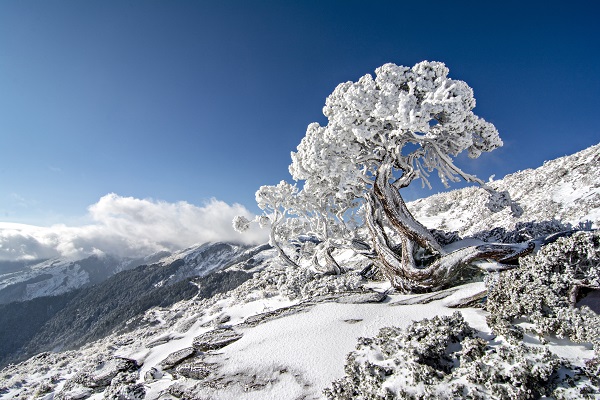 雪季登山須嚴加預防高山症的發生  (國家公園電子報編輯小組提供，段志豪攝)