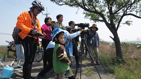 「單車賞鳥趣」活動帶領民眾騎乘腳踏車， 沿途認識濕地生態及進行鳥類辨識  (台江國家公園管理處提供)