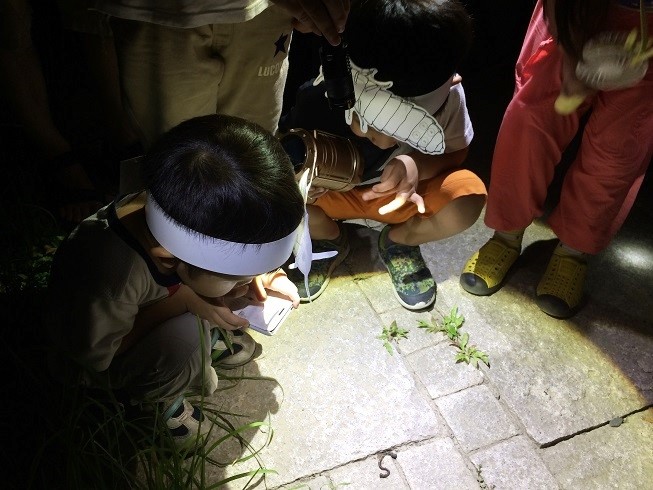 小朋友戴著頭燈， 仔細蹲低觀察各種昆蟲 (高雄都會公園管理站提供)