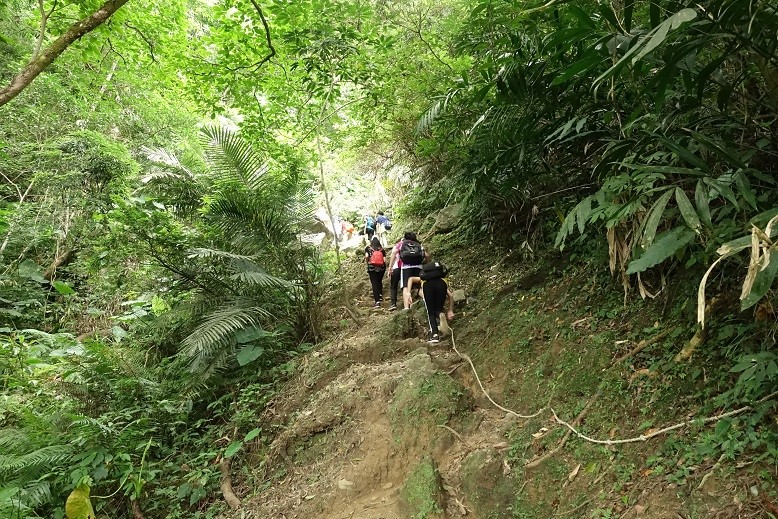 前往大禮部落需攀升約800公尺陡峭路段， 對鮮少登山經歷的學子來說，絕不算輕鬆的行程。  (太魯閣國家公園管理處提供)