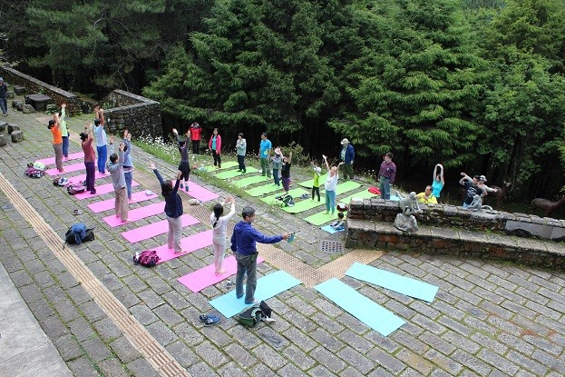 A forest healing specialist took participants into the forest for a yoga activity 