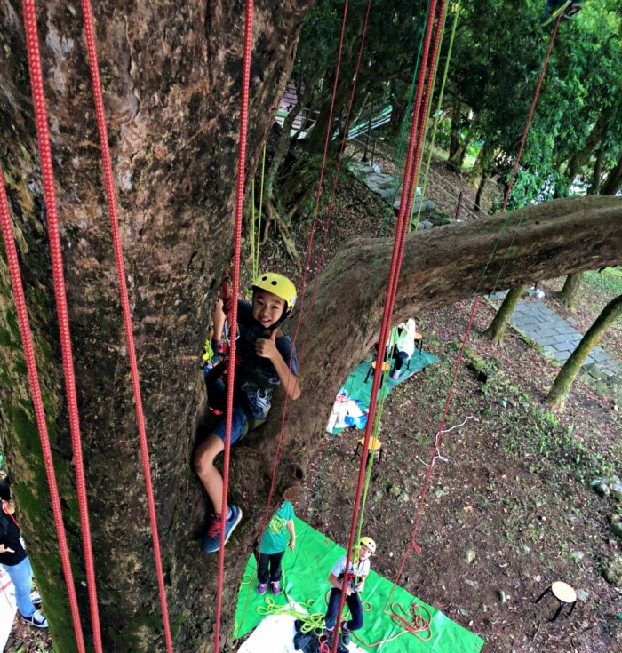 攀樹活動主要為鼓勵孩子突破自我恐懼的束縛 (菁山遊憩區提供)