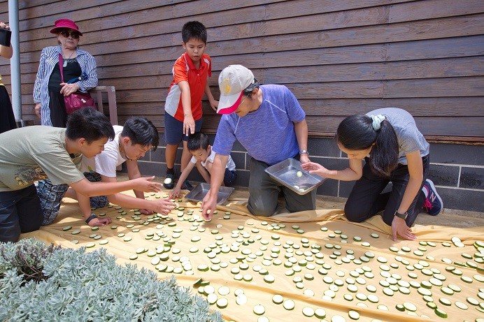 學員體驗在地農產特色—醃製酸瓜  (海洋國家公園管理處提供)