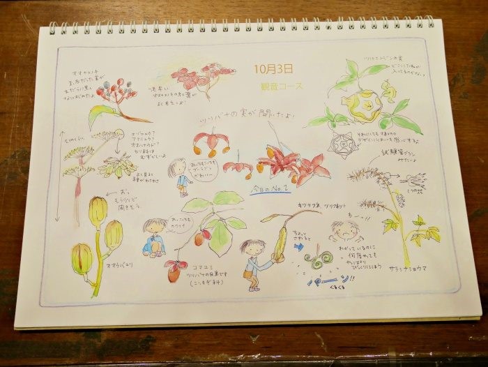 小亀いづる老師分享自己一周2次函館山的自然觀察筆記  (國家公園電子報編輯小組提供)