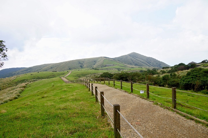 The Qingtiangang Grassland of Yangmingshan National Park is a special landscape area