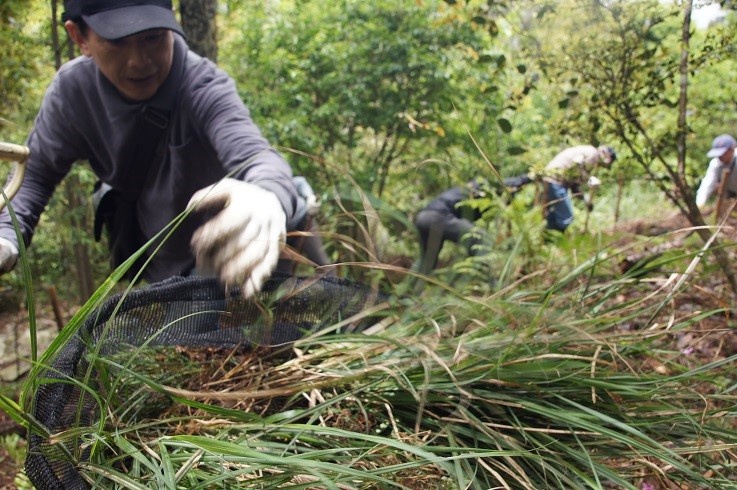 仰賴志工夥伴的大力協助，為棲地恢復， 種植原生樹種付出大量時間與體力 (雪霸國家公園管理處提供)