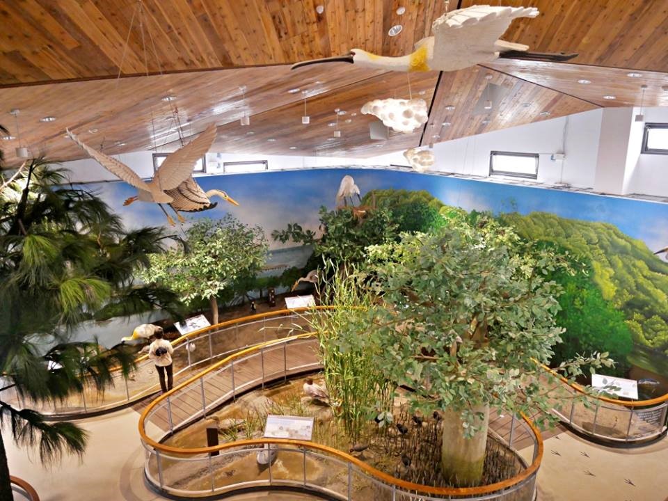 台江生態與棲地體驗區，  擁有挑高3層樓的好視野，  頭頂上有候鳥飛翔模型 (國家公園電子報編輯小組提供)