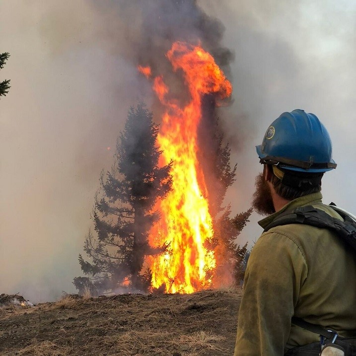  考量卡爾大火規模及複雜度， NPS採用AAR回顧救災行動， 希望更有效率地釐清缺失 （圖片取自 Flickr，攝影師Pacific Southwest Region 5）