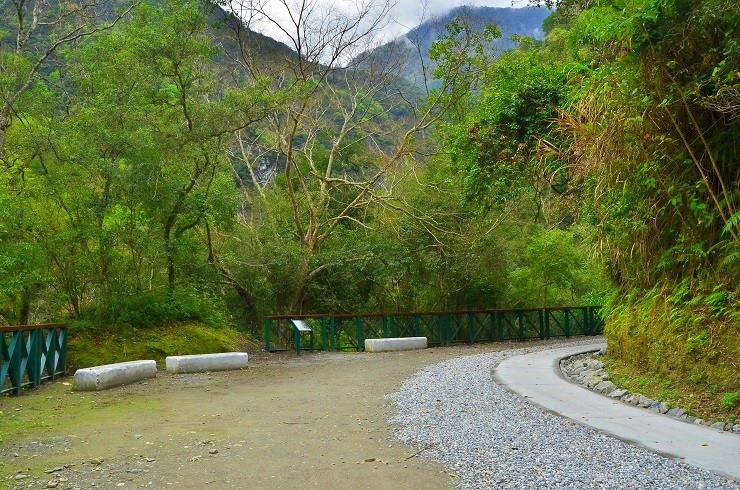 白楊步道擁有水泥路面 及一般路面並行的友善步道 (太魯閣國家公園管理處提供)