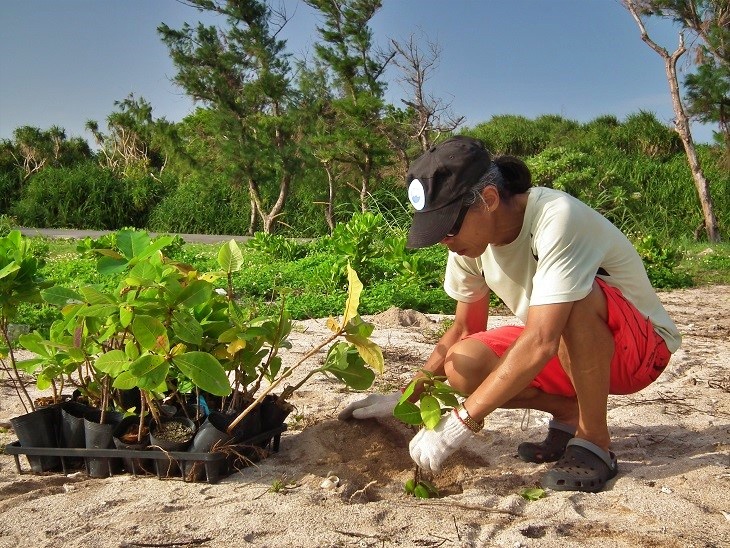 協助栽種東沙島本土原生物種， 讓環境能慢慢恢復樣貌