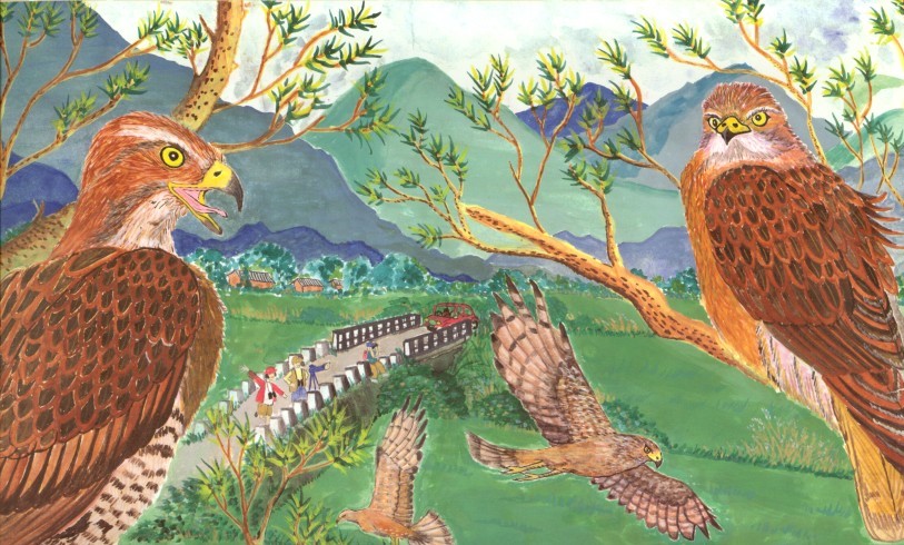 每年舉辦的「護野鳥，反獵鷹」繪畫比賽， 盼孩子觀察及同理野生動物的嚴峻處境， 畫出幅幅動人畫作 (墾丁國家公園管理處提供)