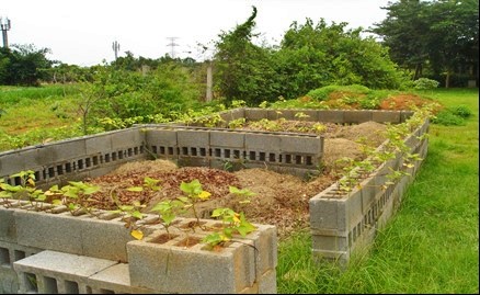 10幾年前中都主任及志工利用現有落葉堆肥， 使用空心磚堆砌成露天施肥區