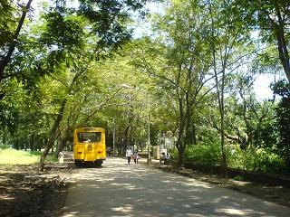桑賈伊.甘地國家公園為孟買提供了淨化空氣污染、供給飲用水及調節氣溫等功能。(取自flickr，Rakesh攝)