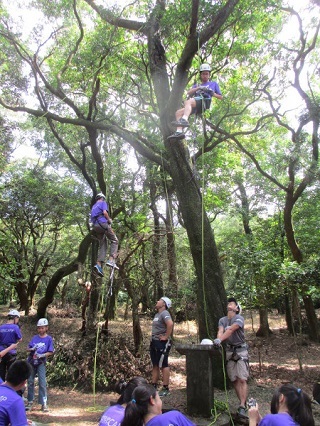 陽明山國家公園攀樹體驗活動，由專業教練在樹下指導攀樹技術。