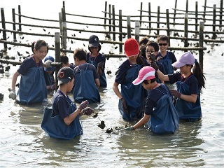 台江國家公園的蚵農體驗活動。