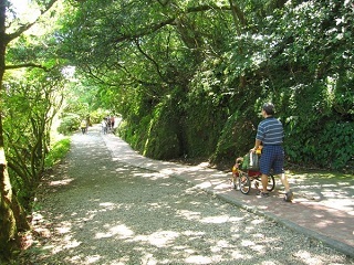 二子坪森林步道擁有五星級的無障礙步道