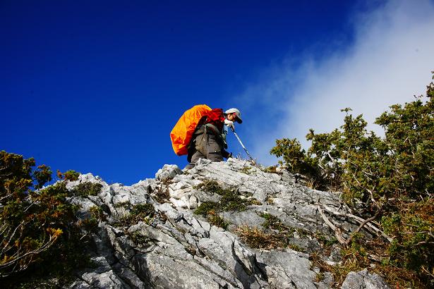 林金龍老師時常參與登山活動，
鼓勵民眾一起帶著正確的觀念來感受臺灣山林之美。(林金龍老師提供)