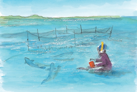 檸檬鯊較常出沒的地方設置圍網(圖片摘錄「為愛出行」)