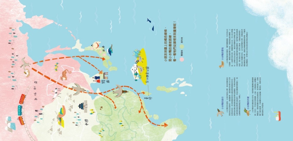 小水鴨遷徙路線圖(台江國家公園管理處提供)