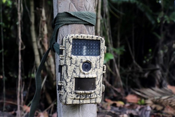 本圖為在薩爾瓦多巴拉德聖地牙哥安裝的相機監測儀器（圖片來源：IUCN/ Lopez Guijosa）