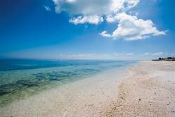 東沙島為珊瑚碎屑風化堆積而成的島嶼
