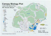 日本研究樹冠層生物樣區地圖