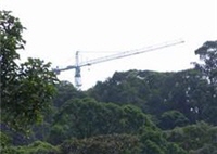 樹冠層吊車(Canopy crane)
