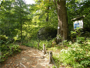 青森十和田八幡平國立公園東北自然步道一景