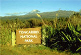 紐西蘭東格里羅國家公園