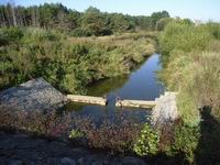 捷克申報中的世界遺產文化景觀Trebon盆地及其漁塘系統。