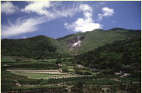 陽明山國家公園竹子湖地區在日據時期為稻米原種的試種地