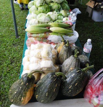 타이루거 창의문화 시장에서 전시 판매하는 시바오의 시험 재배 유기 농산물(사진)
