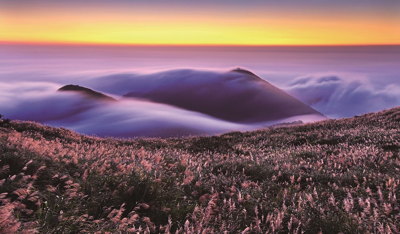 Công viên quốc gia Dương Minh Sơn - Biển mây Đại Truân (hình: Yeh, Shih-Hsian) (Hình ảnh)
